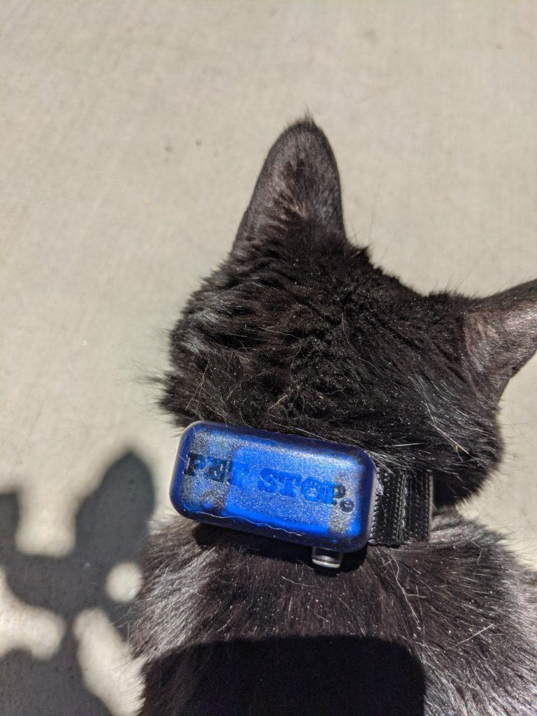 Front range pet stop can help you with your cat and dog