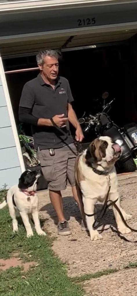 Will of front range pet stop works with Bruce and Gracie