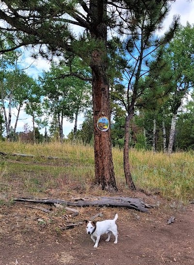 Max seems to be mixed up on where the 15th hole is at beaver ranch disc golf course