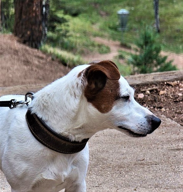 Max at beaver ranch disc golf course